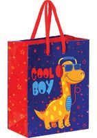 Пакет бумажный подарочный "Cool Boy" (14х11х6,5 см)