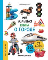 Моя большая книга о городе