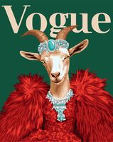 Картина по номерам "Красная коза" (400х500 мм)