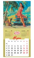 Календарь настенный на 2027 год "Pin up" (28,5х57 см)