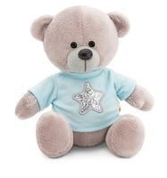 Мягкая игрушка "Медведь Топтыжкин серый. Звезда" (17 см)