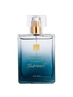 Туалетная вода для мужчин "The Moment" (90 мл)