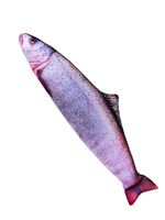 Мягкая игрушка "Огромная рыба" (145 см)