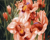 Картина по номерам "Розовые ирисы" (400х500 мм)