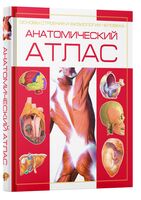 Анатомический атлас. Основы строения и физиологии человека
