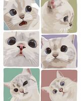 Картина по номерам "Эмоции котика" (400х500 мм)