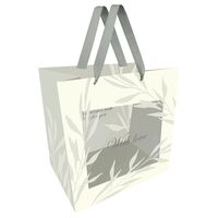 Пакет бумажный подарочный "Grace" (23х18х10 см)