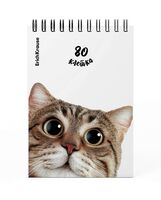 Блокнот "Котики" (А6)