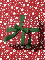 Бумага упаковочная "Ромашки красные" (67х100 см)