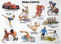 Виды спорта. Плакат