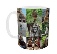 Кружка "Обезьянки. Мемы"