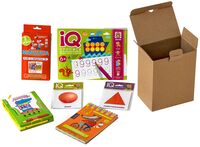 Посылка. Мини-комплект IQ-игр для освоения навыков счёта