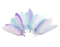 Перо гусиное обработанное "Ассорти" (20 шт.)