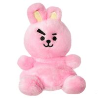 Мягкая игрушка "BT21 Куки" (12 см)