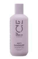 Шампунь для волос "Anti-Dandruff" (250 мл)