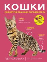 Кошки. 60 самых популярных пород