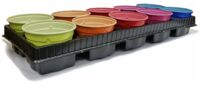 Набор горшков для рассады "Color" (10,5х8 см; 10 шт.)