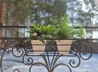 Ящик для цветочных горшков "Брутал" (45х23х14 см; чёрный)