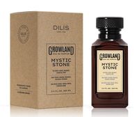 Парфюмерная вода для мужчин "Mystic Stone" (100 мл)