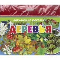 Обучающие карточки. Деревья