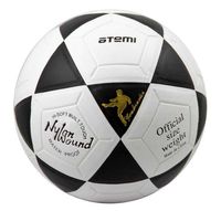 Мяч футбольный Atemi "Goal" №5
