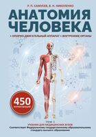 Анатомия человека