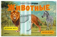 Рентгенорама. Животные