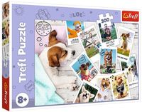 Пазл "Праздничные фотографии" (300 элементов)