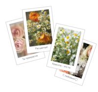 Нбор открыток "Расцветай"