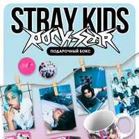 Подарочный набор "Stray kids. Rock-star"