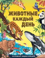 Животные каждый день