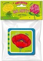 Мини-книжки Эва. Что здесь растёт? На лугу