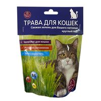 Набор для выращивания растений "Трава для кошек"
