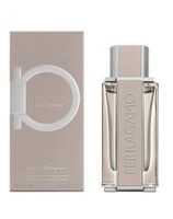 Туалетная вода для мужчин "Ferragamo Bright Leather" (100 мл)