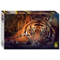 Пазл "Сибирский тигр" (1000 элементов)