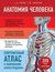 Анатомия человека. Современный атлас с подробными иллюстрациями. Габриэль Билич, Елена Зигалова